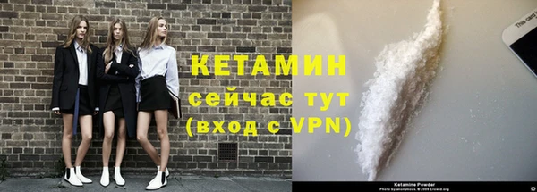 гашик Верея