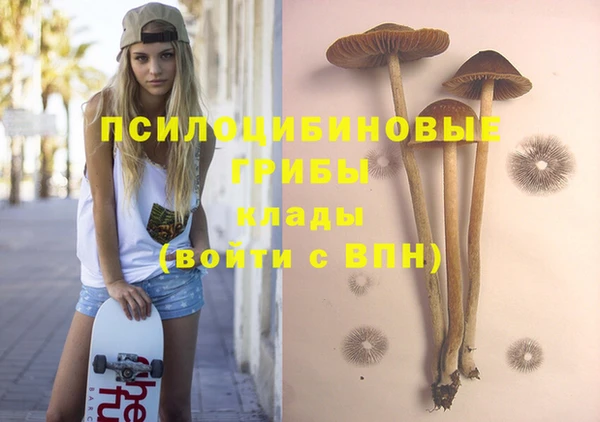 гашик Верея