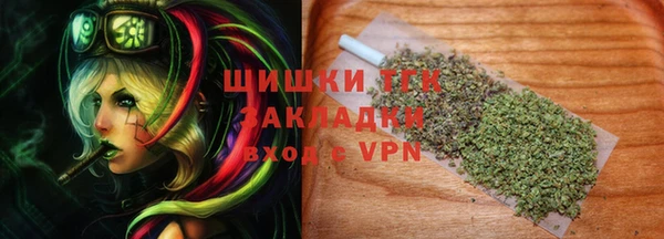 гашик Верея