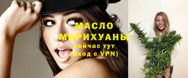 гашик Верея